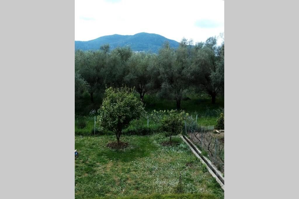 Υπεροχη Διαμονη... Achílleion Eksteriør bilde